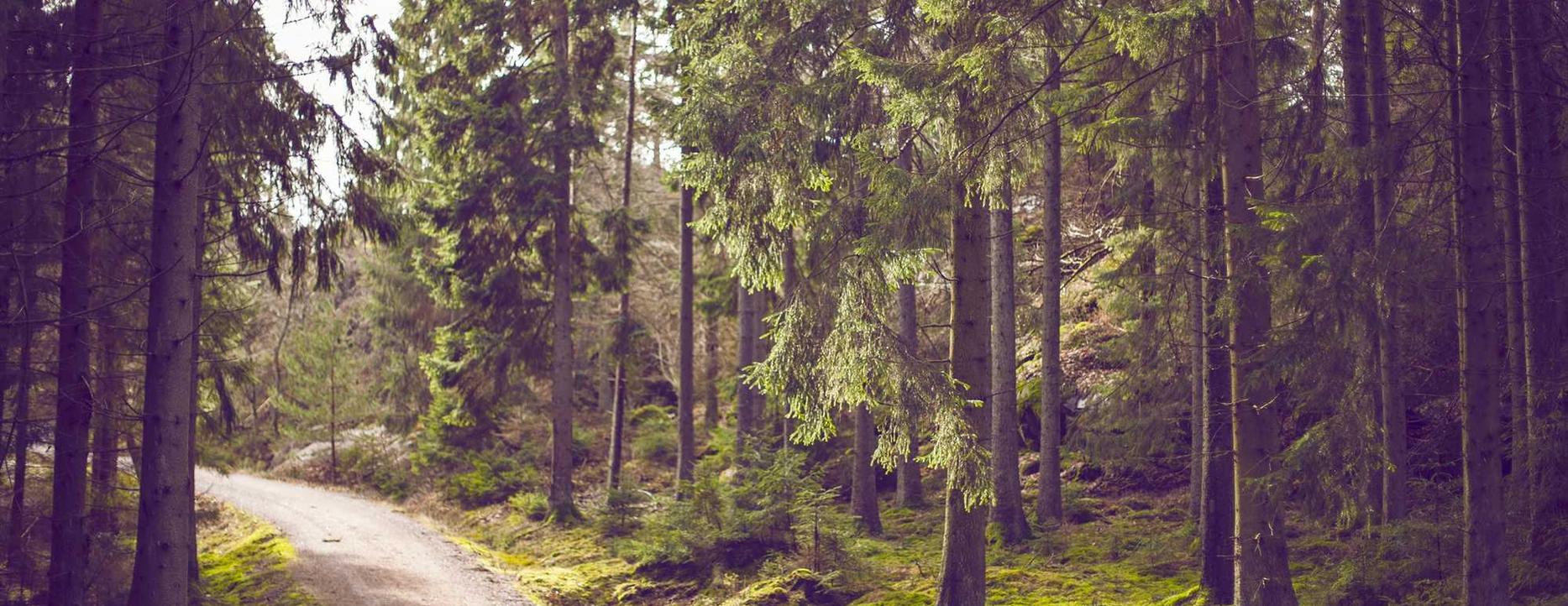 麒麟网2开心花app详情下载教程