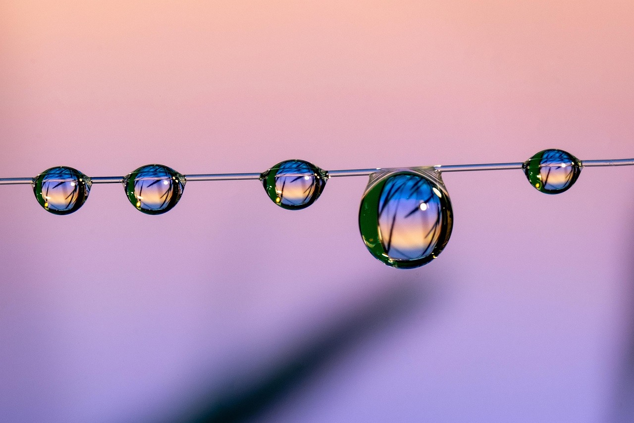 宫徵app详情下载教程