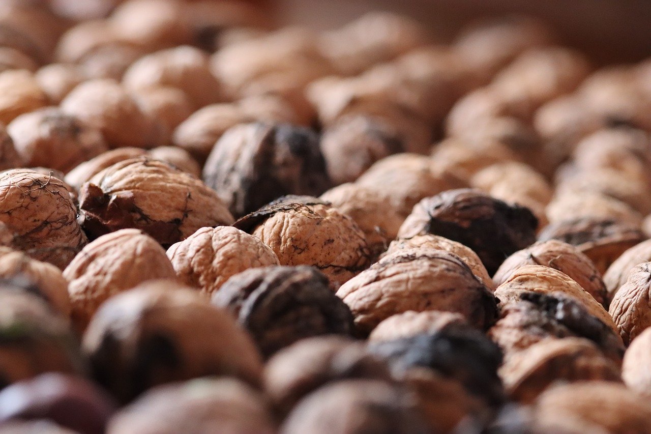 芒果星芒卡实名账号：贵阳修文注册公司代理