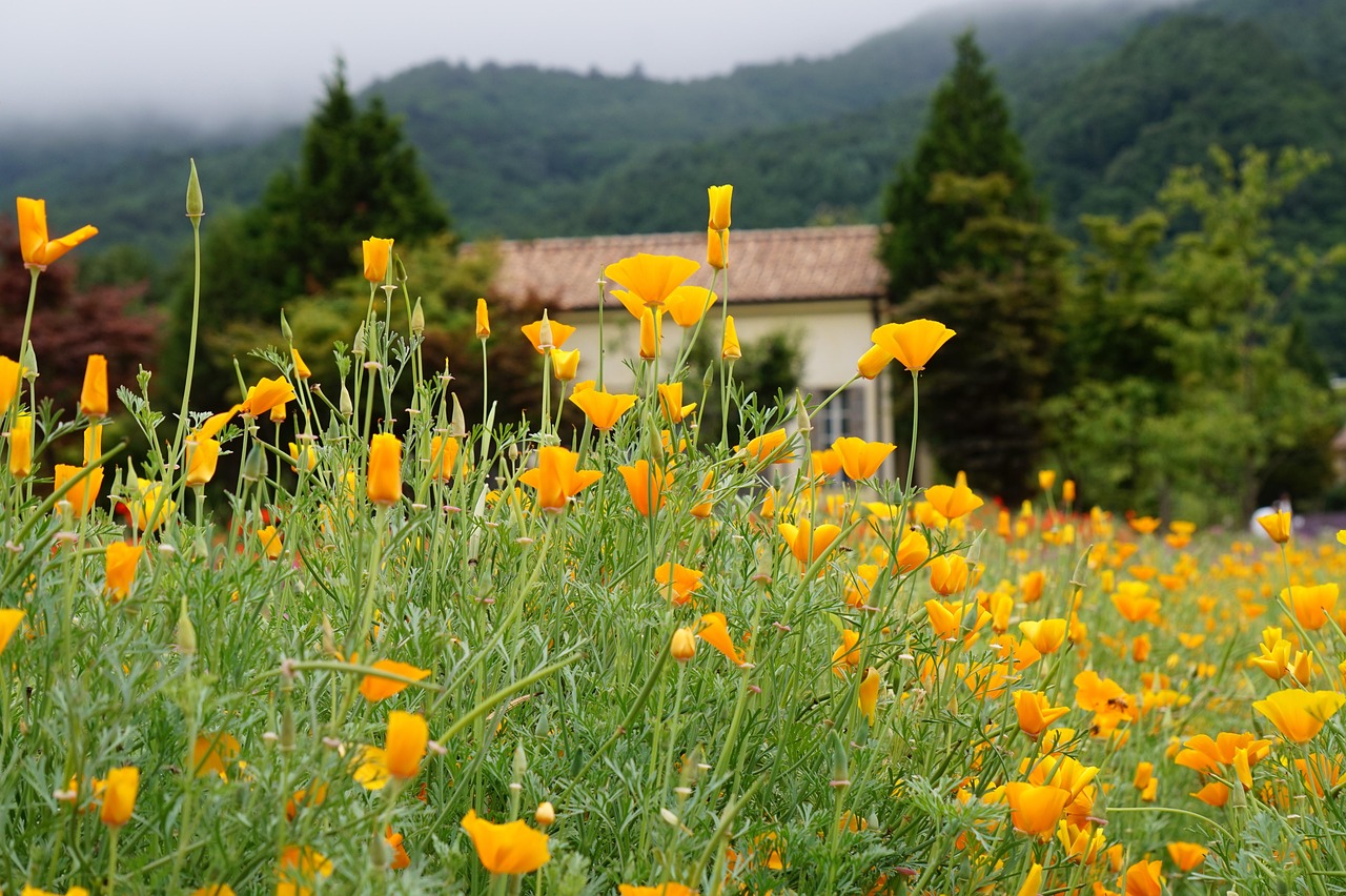 绍兴物流公司注册代理服务
