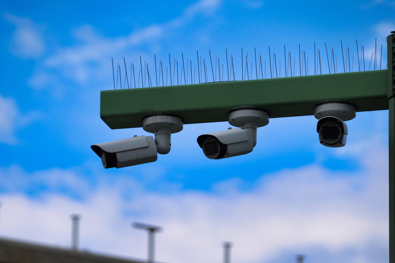 青年一派实名账号：火狐app详情下载教程安装